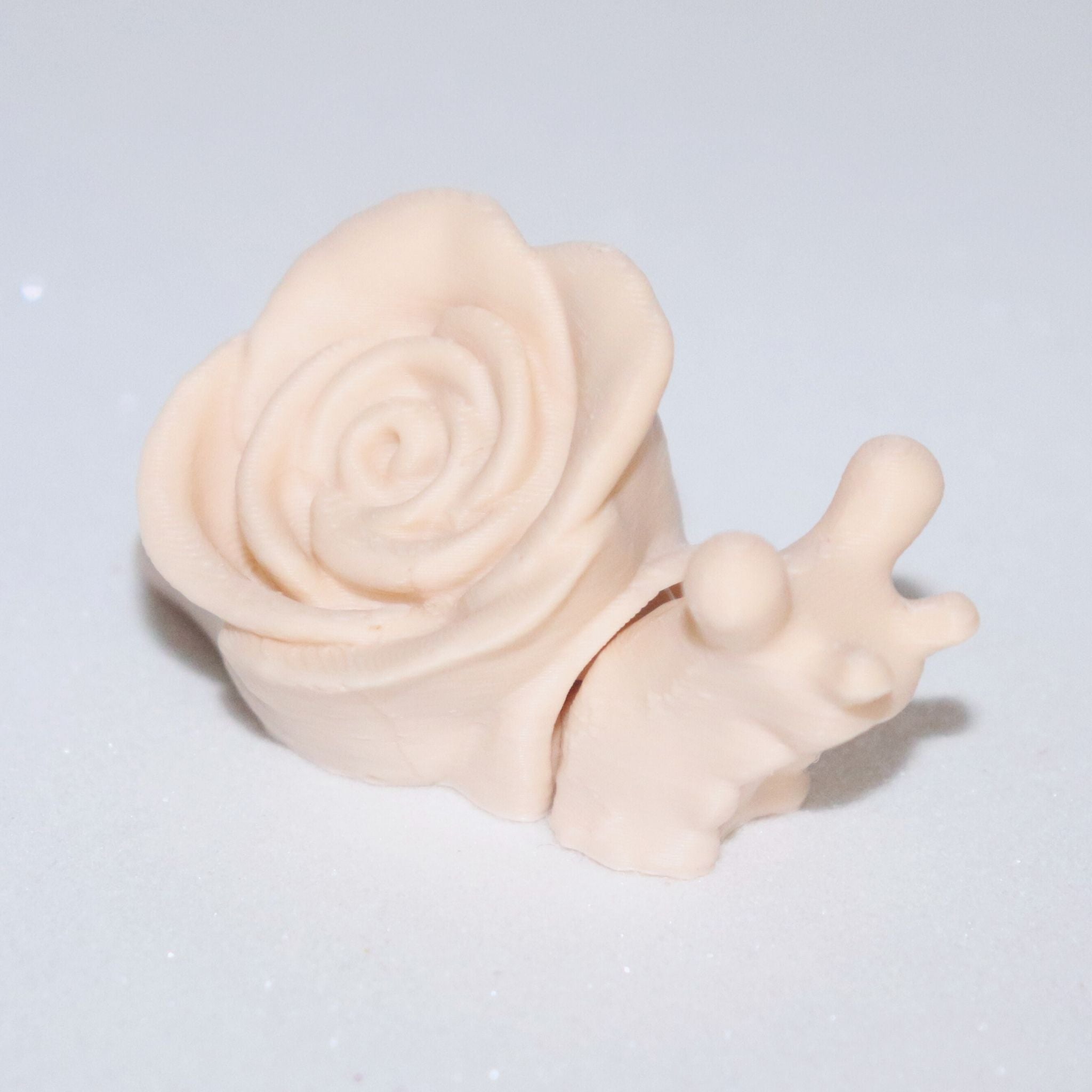 Tiny Snail Rose Magnet